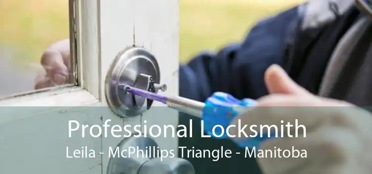Professional Locksmith Leila - McPhillips Triangle - Manitoba