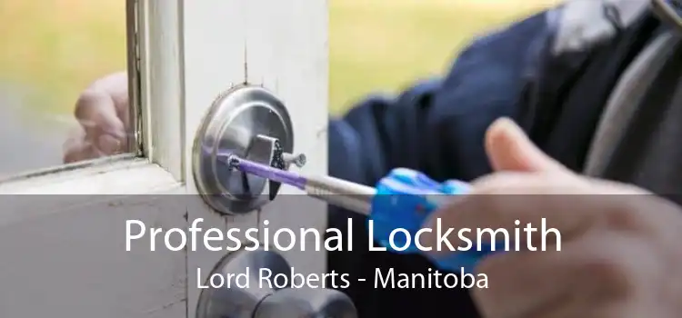 Professional Locksmith Lord Roberts - Manitoba