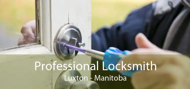Professional Locksmith Luxton - Manitoba