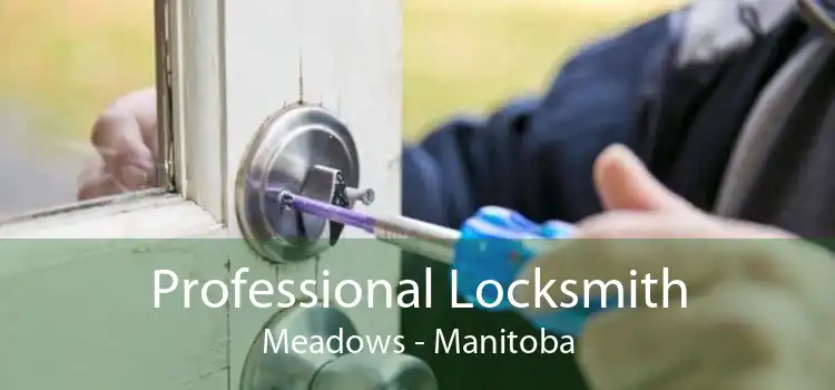 Professional Locksmith Meadows - Manitoba