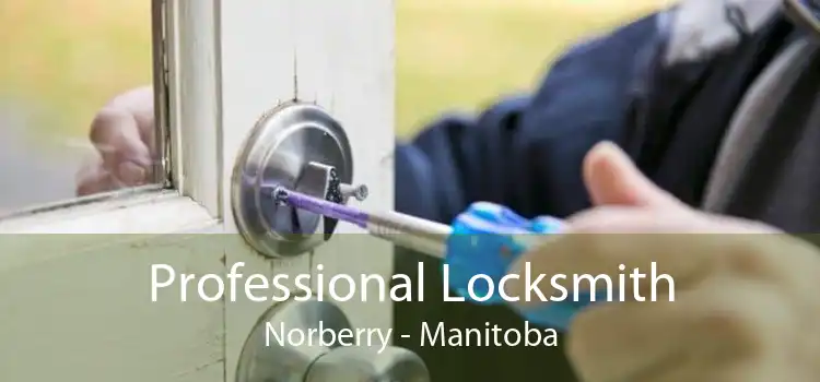 Professional Locksmith Norberry - Manitoba