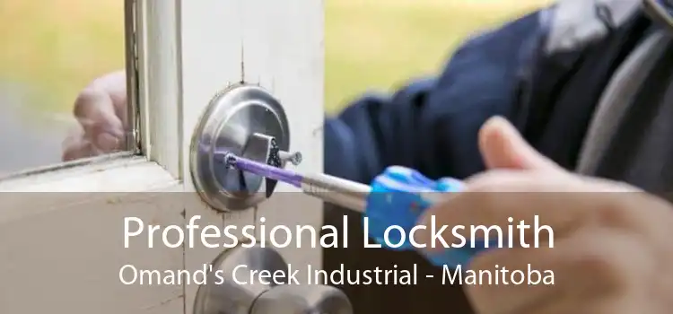 Professional Locksmith Omand's Creek Industrial - Manitoba