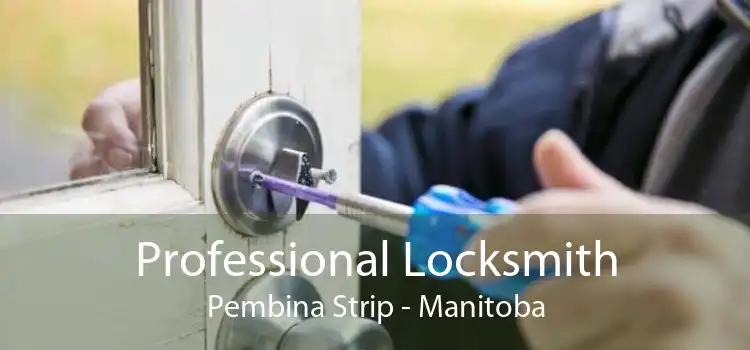 Professional Locksmith Pembina Strip - Manitoba