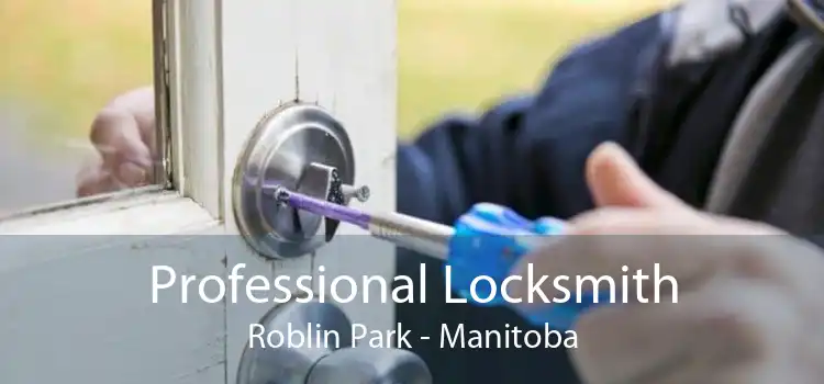 Professional Locksmith Roblin Park - Manitoba