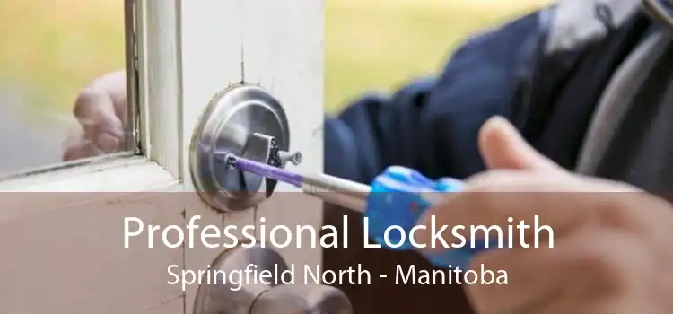 Professional Locksmith Springfield North - Manitoba