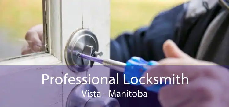 Professional Locksmith Vista - Manitoba