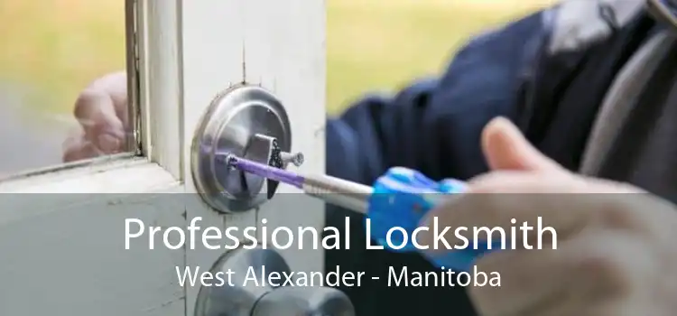 Professional Locksmith West Alexander - Manitoba