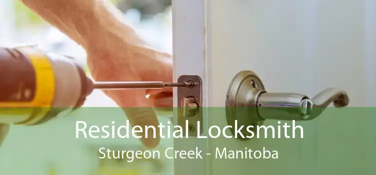 Residential Locksmith Sturgeon Creek - Manitoba