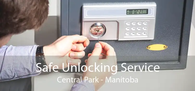 Safe Unlocking Service Central Park - Manitoba