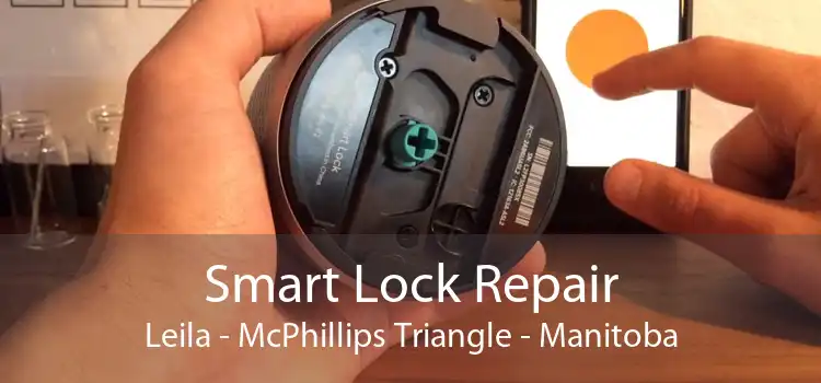 Smart Lock Repair Leila - McPhillips Triangle - Manitoba