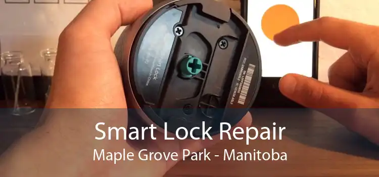 Smart Lock Repair Maple Grove Park - Manitoba