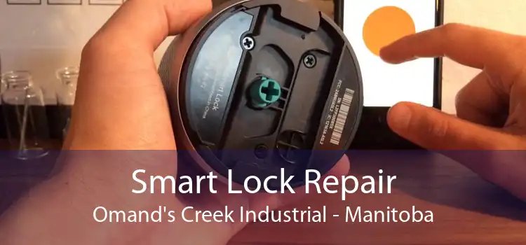 Smart Lock Repair Omand's Creek Industrial - Manitoba