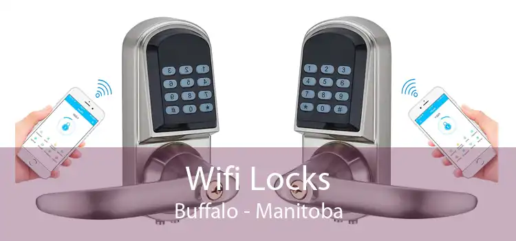 Wifi Locks Buffalo - Manitoba
