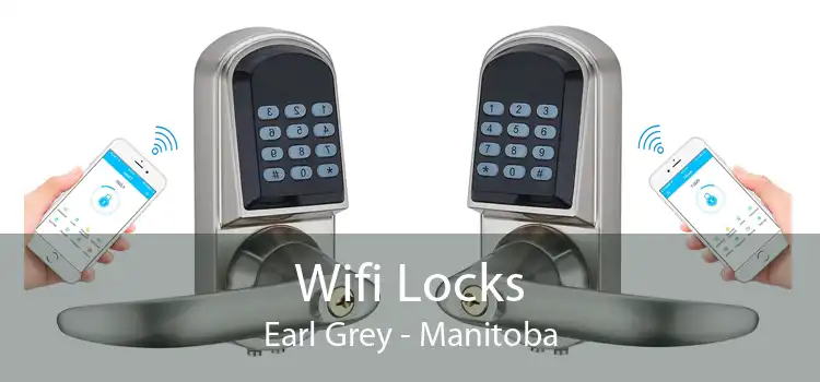 Wifi Locks Earl Grey - Manitoba