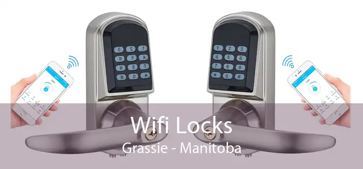 Wifi Locks Grassie - Manitoba