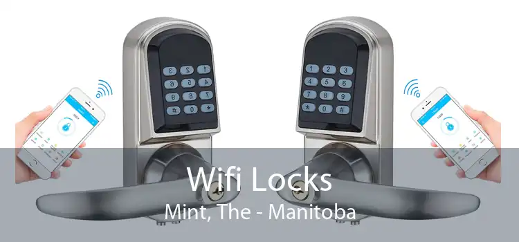 Wifi Locks Mint, The - Manitoba