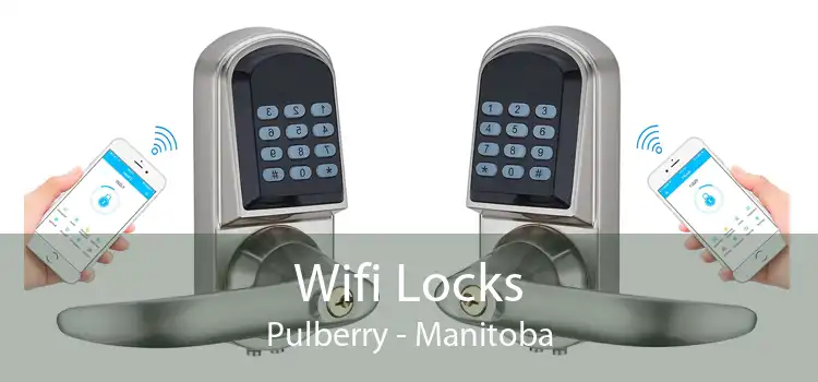 Wifi Locks Pulberry - Manitoba
