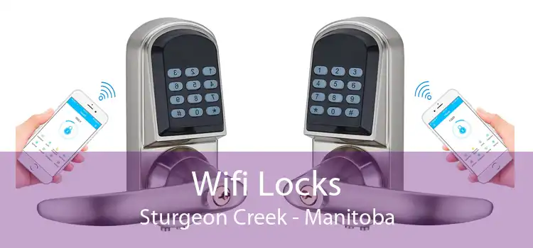 Wifi Locks Sturgeon Creek - Manitoba